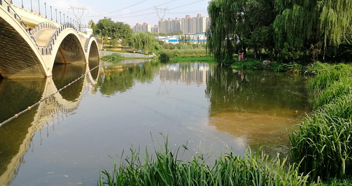 郑州洞林湖湿地公园游玩,郑州洞林湖攻略