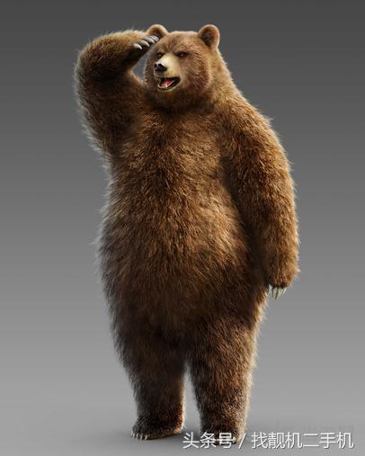 在野外遇到熊怎么办素材,野外遇到熊的真正方法