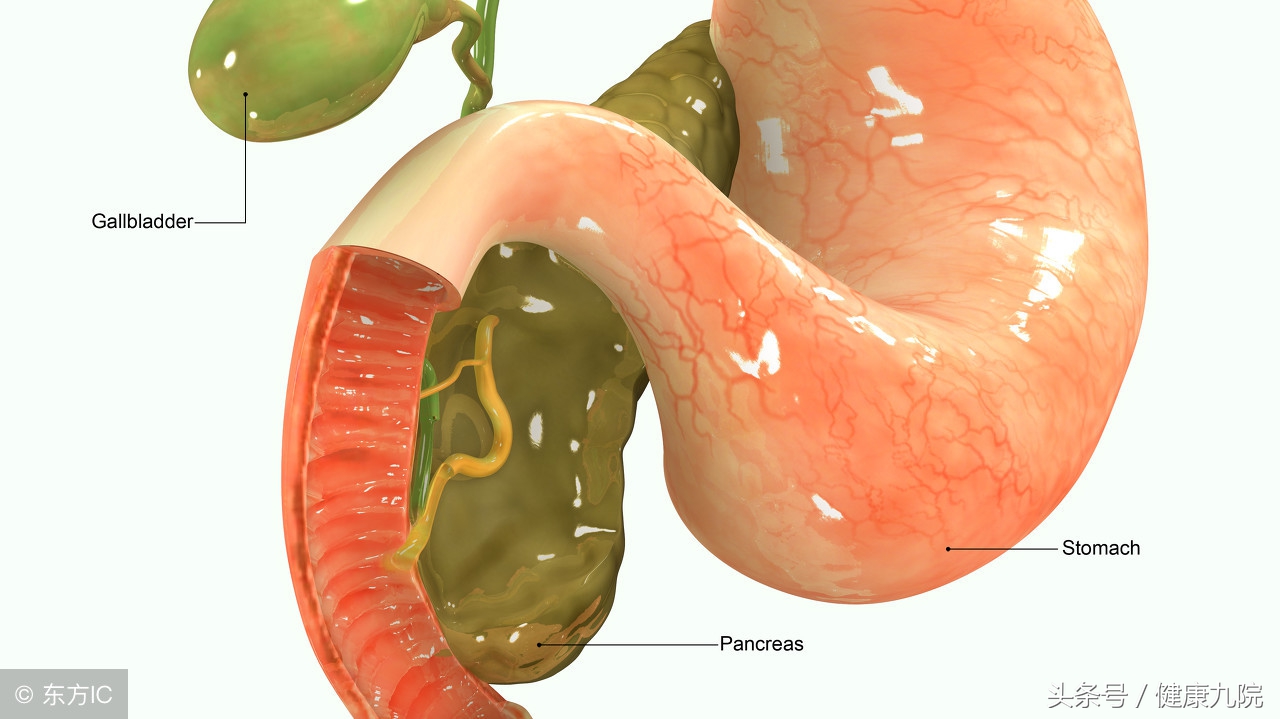 谈一谈中医治疗疾病的看法,医生讲科普胆囊健康