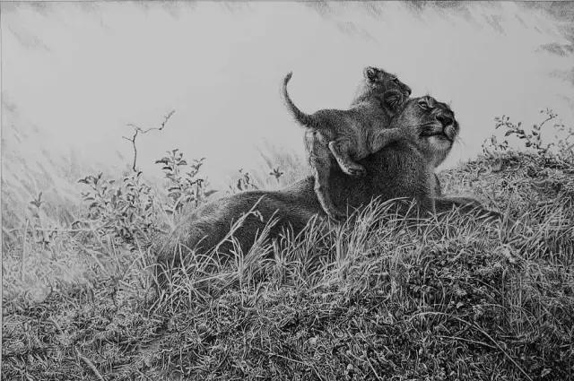 顶级超写实钢笔画,最惊艳的钢笔画大神