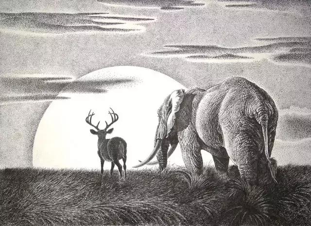 顶级超写实钢笔画,最惊艳的钢笔画大神