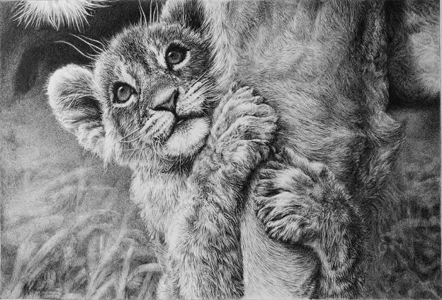 顶级超写实钢笔画,最惊艳的钢笔画大神