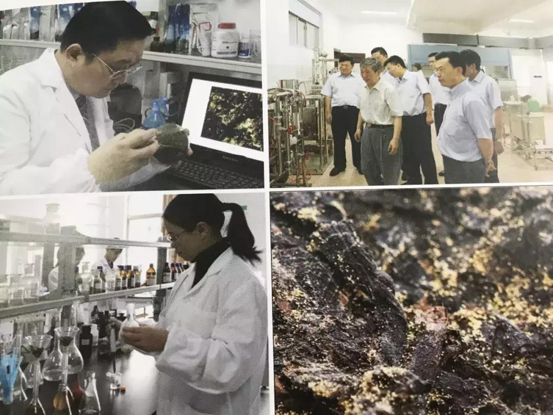 湖南千亿湘茶产业,湖南千亿茶产业系列报道之三