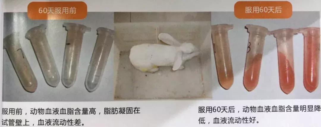 湖南千亿湘茶产业,湖南千亿茶产业系列报道之三