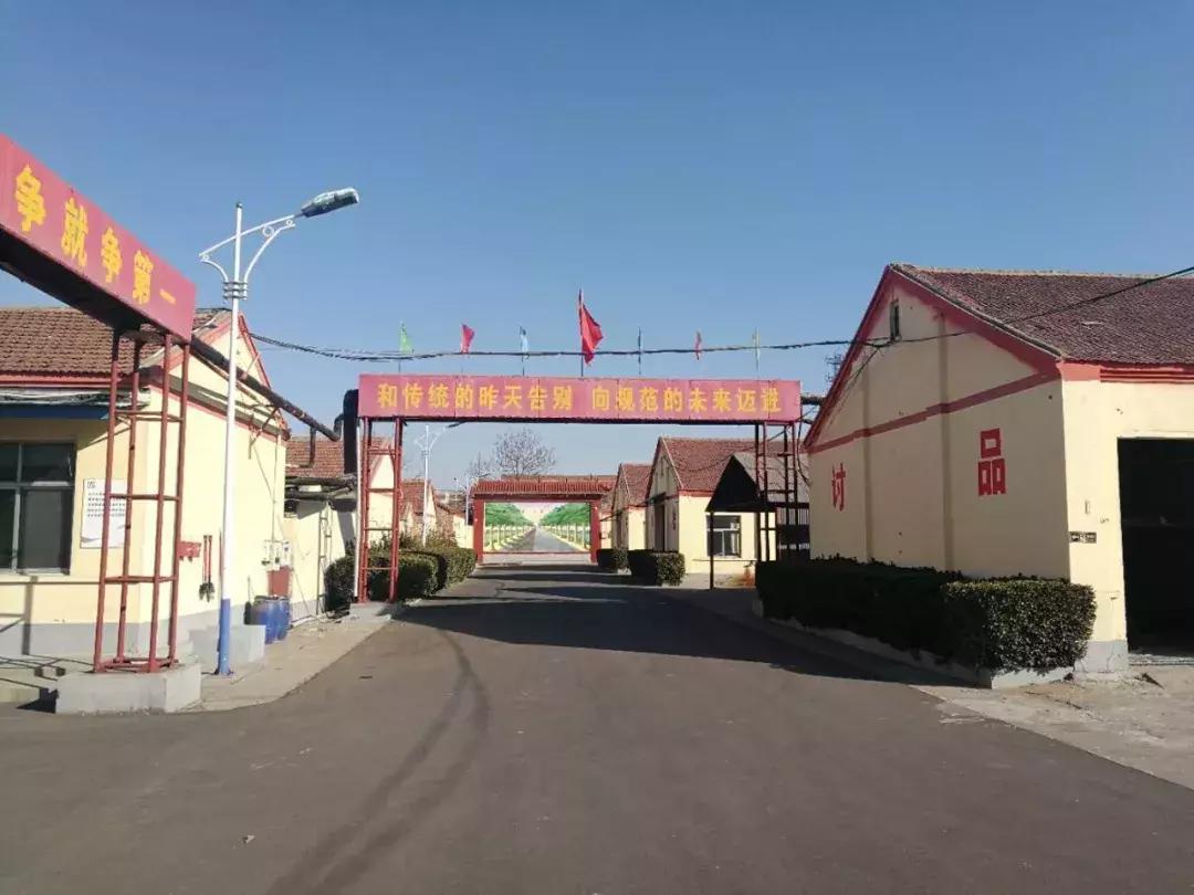 传统工厂转型为智能化工厂过程,一家工厂衰败的经历