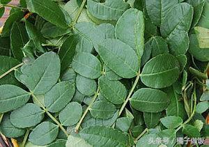 教你正宗酱豆做法,一口一个馍,比大鱼大肉大虾好吃多了!