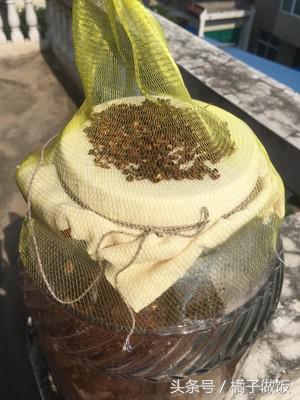 教你正宗酱豆做法,一口一个馍,比大鱼大肉大虾好吃多了!