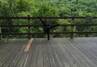 西双版纳飞无人机的地方,西双版纳无人机