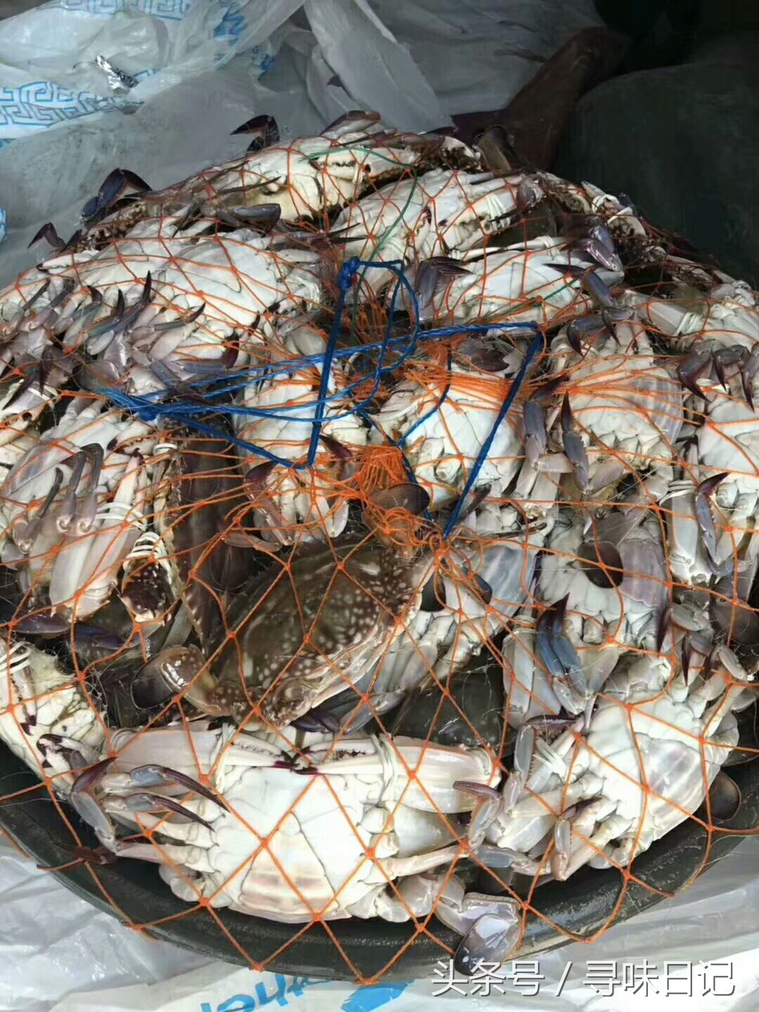 梭子蟹煮熟吃不完怎么保存,梭子蟹里面水太多