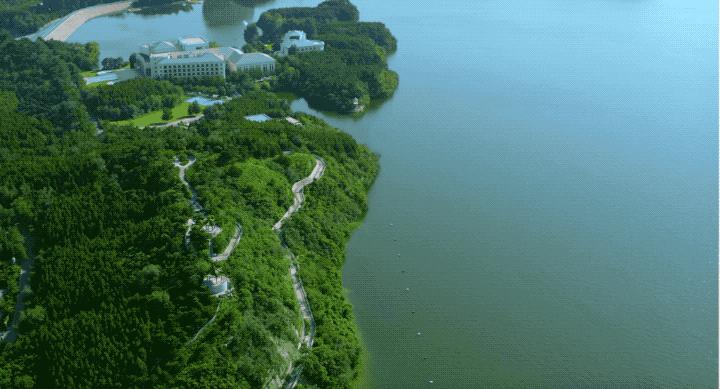 大疆「御」Mavic2体验：消费级无人机里最专业的相机