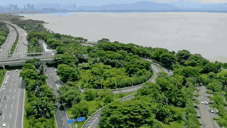 大疆「御」Mavic2体验：消费级无人机里最专业的相机