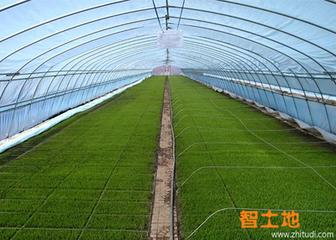 宅基地流转试点名单,宅基地确权2020年补贴