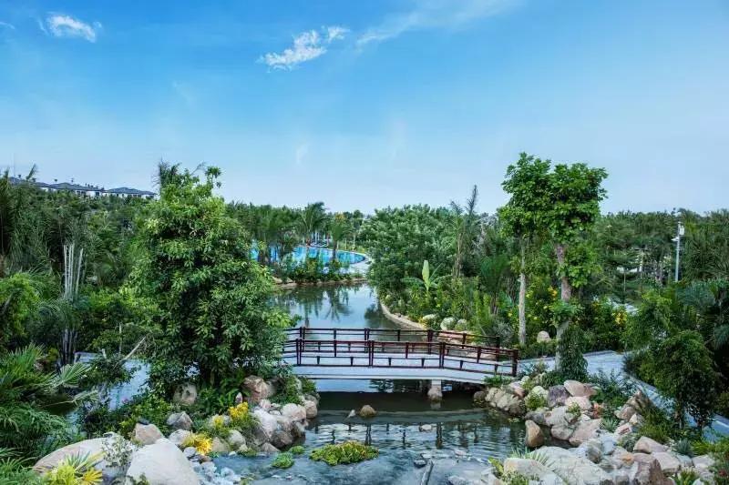 芽庄玩法大全,芽庄轻松玩乐视频