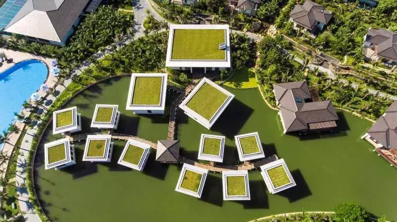 芽庄玩法大全,芽庄轻松玩乐视频