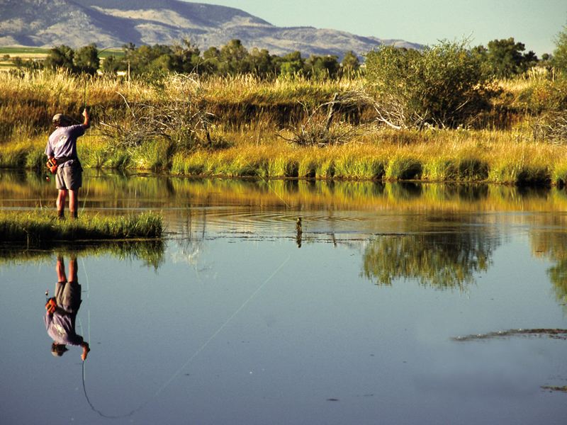 涨水鱼该怎么钓才好钓视频,落水虾和涨水鱼的区别