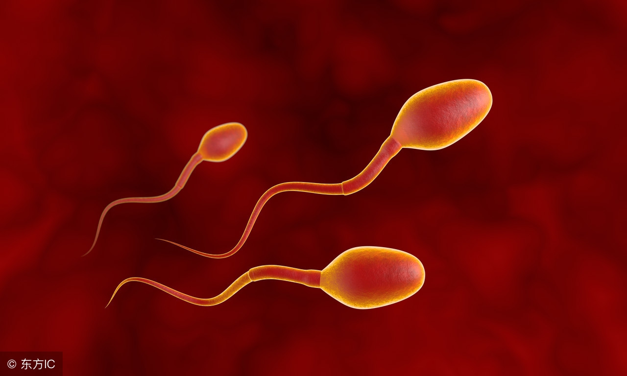 不孕不育治疗的这5个坑,你踩到了么?