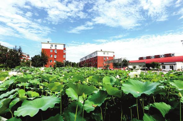 南农颜值混剪,南昌县南农社区