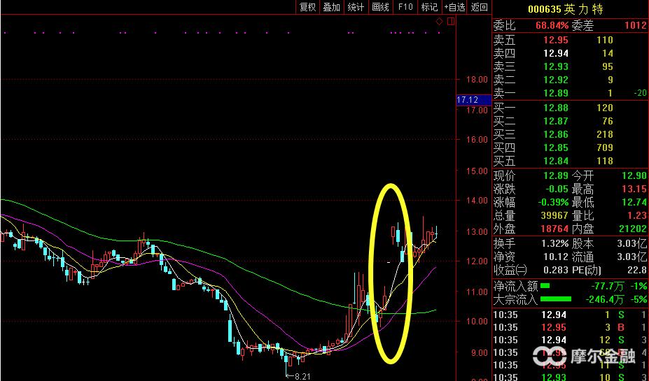 中报潜力股,现金分红股票常识