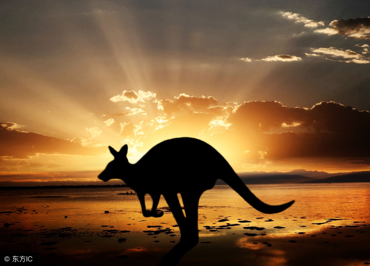 省钱购物小技巧拼多多,海淘网购最省钱的方法