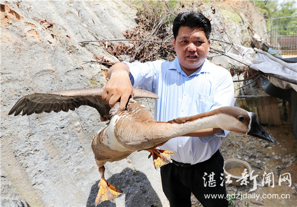 珍稀动物园锦江山,广东最珍稀动物园