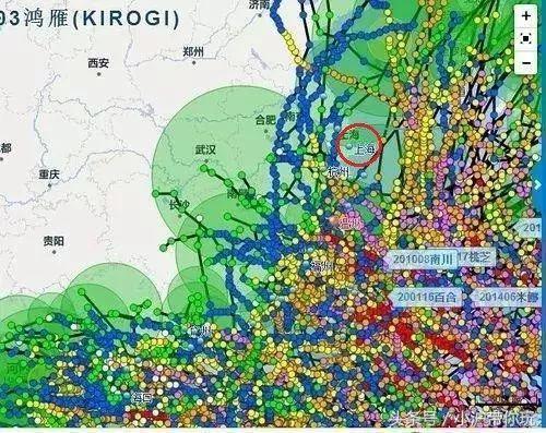 上海最近一次台风时间,上海今年几次台风