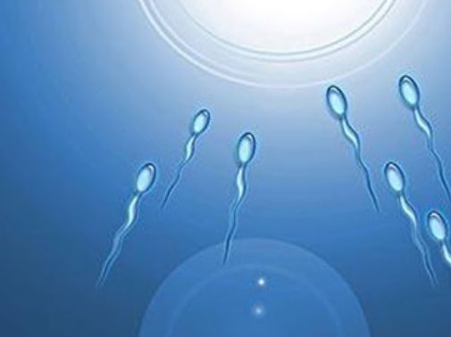 “精子”进入女人体内没有受精，去了哪里？或许看完你就明白了