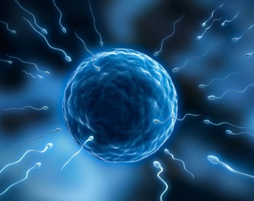 “精子”进入女人体内没有受精，去了哪里？或许看完你就明白了