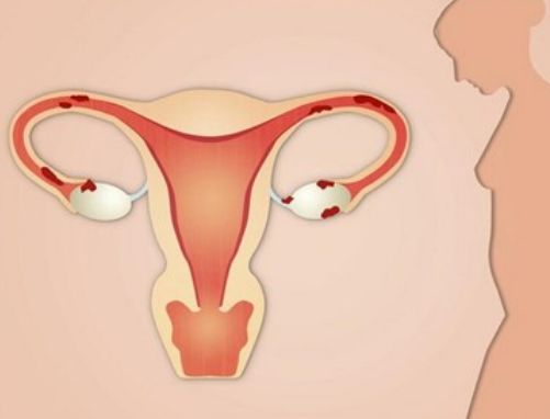 “精子”进入女人体内没有受精，去了哪里？或许看完你就明白了