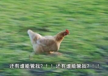 别再问我大学轻不轻松啦