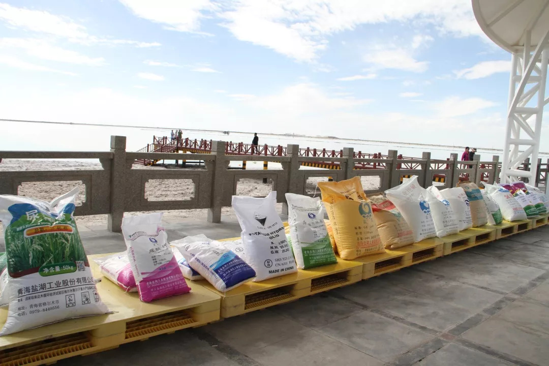 察尔汗盐湖藏格钾肥厂,藏格钾肥盐湖股份