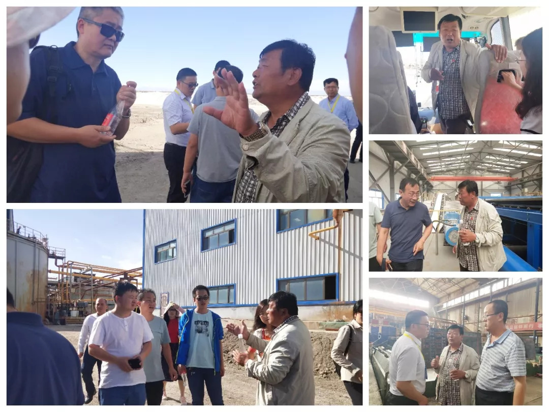 察尔汗盐湖藏格钾肥厂,藏格钾肥盐湖股份