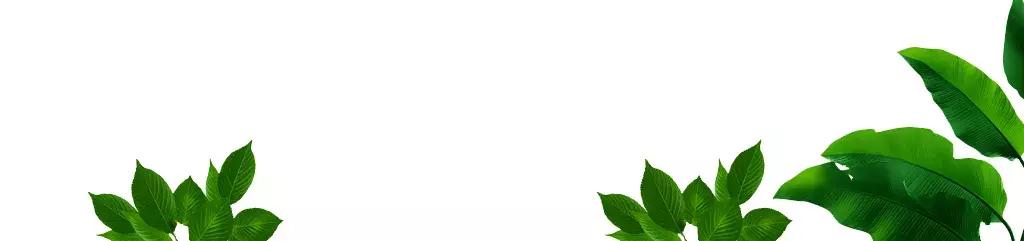 长春最值得去吃和玩的地方,长春周末去哪逛