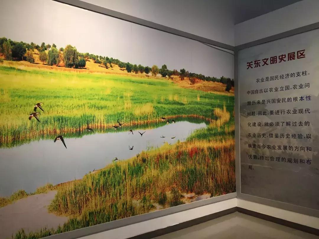 长春最值得去吃和玩的地方,长春周末去哪逛