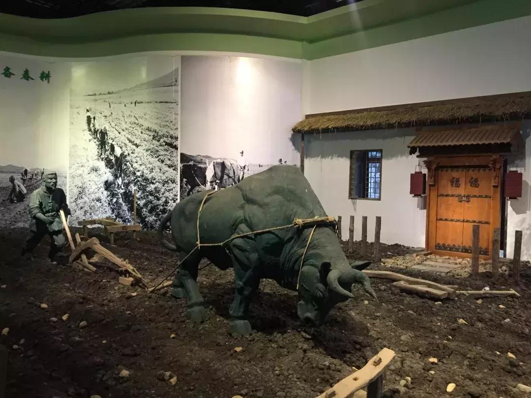 长春最值得去吃和玩的地方,长春周末去哪逛