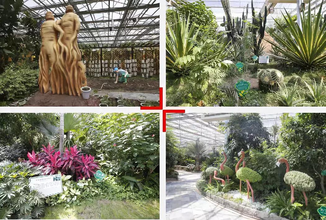 长春最值得去吃和玩的地方,长春周末去哪逛