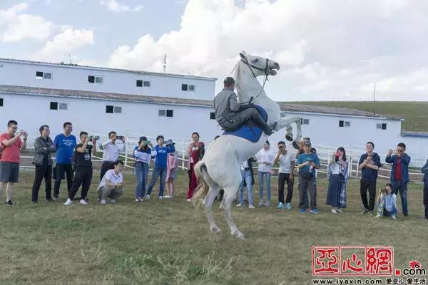 云游新疆穿越新疆,云游新疆那拉提草原