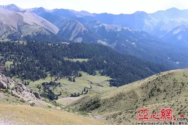 云游新疆穿越新疆,云游新疆那拉提草原