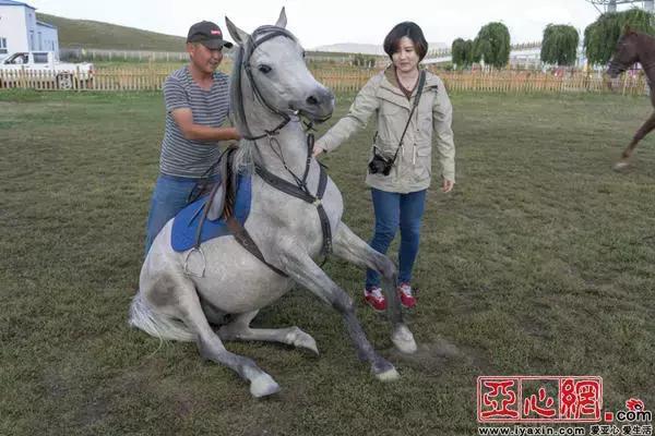 云游新疆穿越新疆,云游新疆那拉提草原