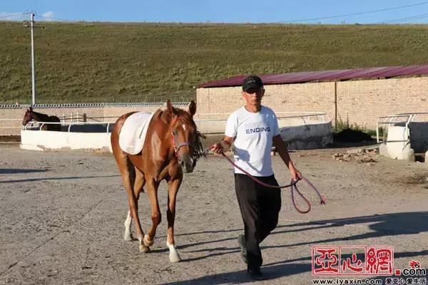 云游新疆穿越新疆,云游新疆那拉提草原