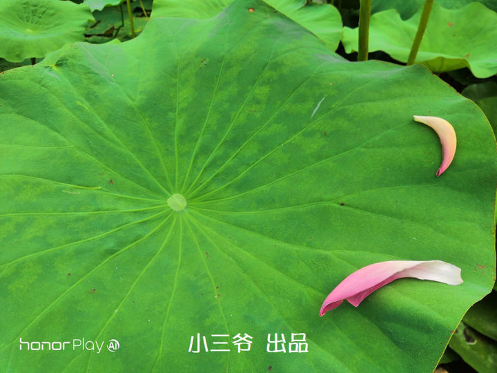 最新测评荣耀play,荣耀play首发游戏评测