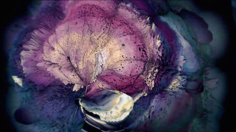 全球首次拍卖AI画作,引发一场赝品泛滥与真伪鉴别的讨论