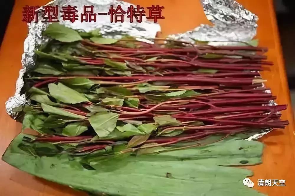 「提醒」做微商竟成毒贩！新型*品毒**“蓝精灵”出现，要小心了！