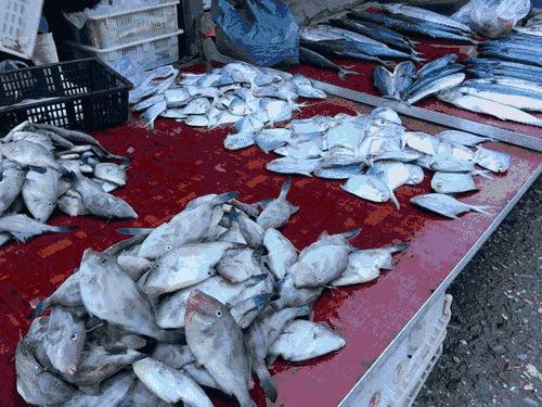 烟台市炫富,烟台人怎么炫富