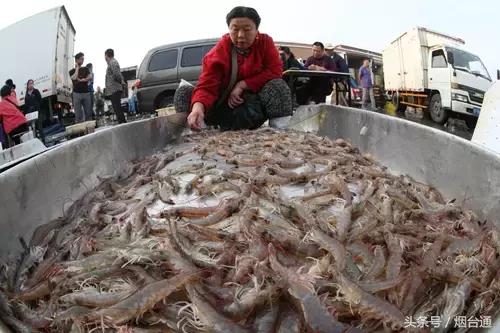 烟台市炫富,烟台人怎么炫富