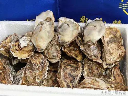 烟台市炫富,烟台人怎么炫富