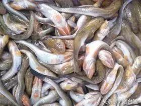 烟台市炫富,烟台人怎么炫富