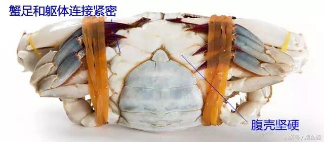 烟台市炫富,烟台人怎么炫富