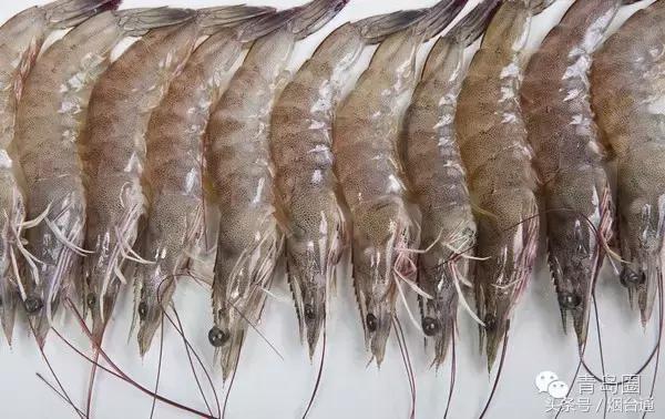 烟台市炫富,烟台人怎么炫富