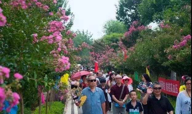 湖北省有哪些康养基地,新洲水杉森林公园