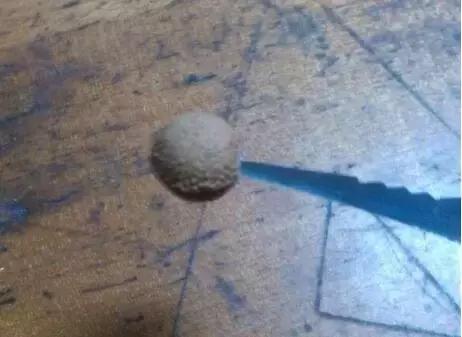 吃完樱桃剩下的籽能种吗怎么种,大樱桃核吃到肚子里有什么危害